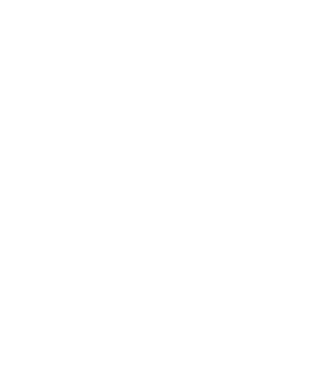 1mm